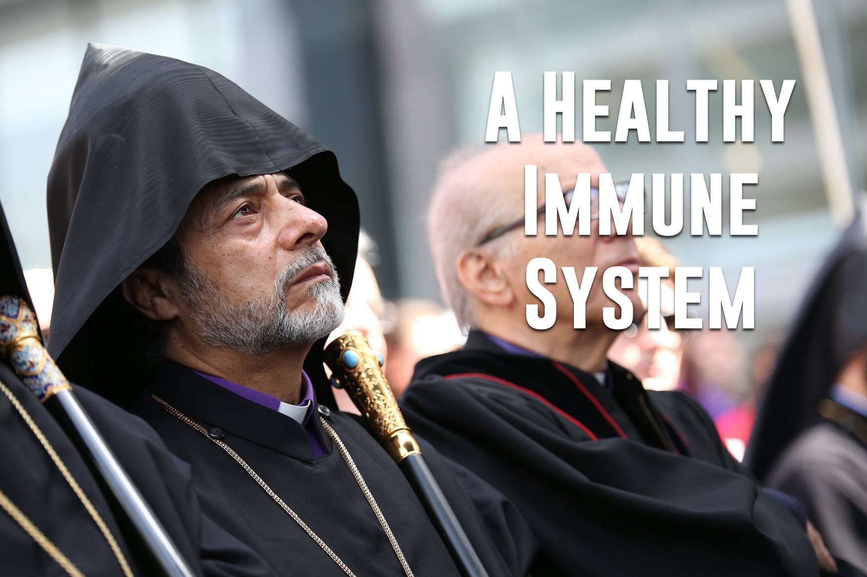 A Healthy Immune System / A Healthy Economy